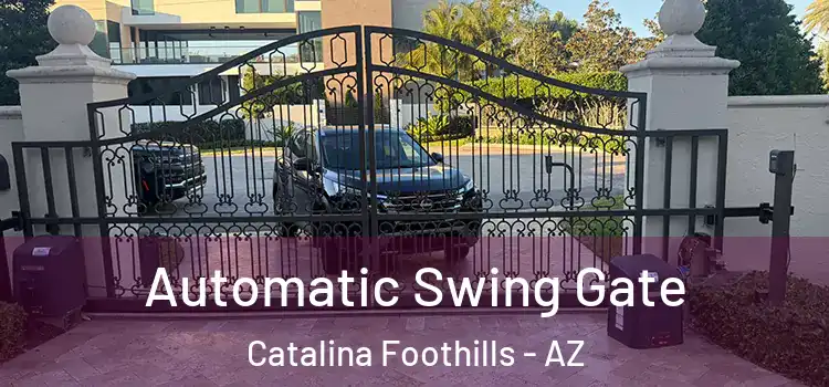  Automatic Swing Gate Catalina Foothills - AZ