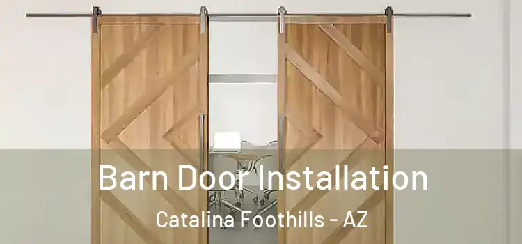 Barn Door Installation Catalina Foothills - AZ