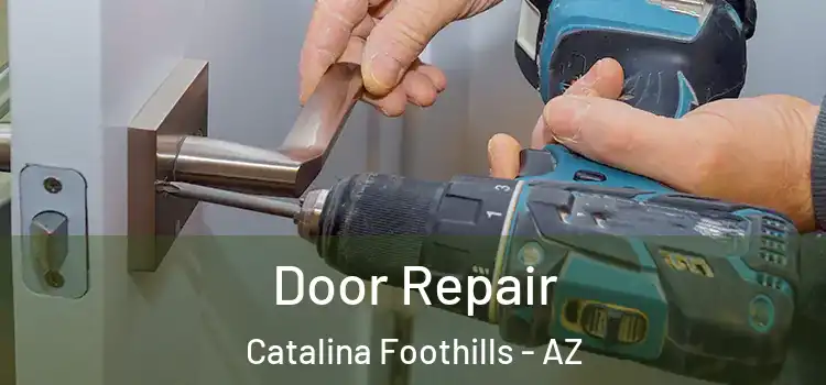  Door Repair Catalina Foothills - AZ