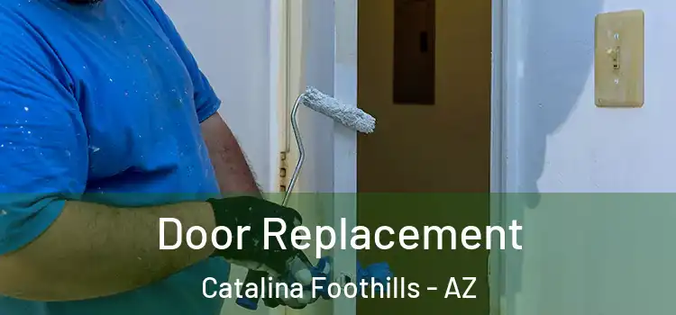  Door Replacement Catalina Foothills - AZ