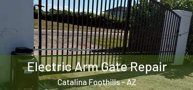 Electric Arm Gate Repair Catalina Foothills - AZ