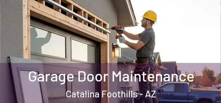  Garage Door Maintenance Catalina Foothills - AZ