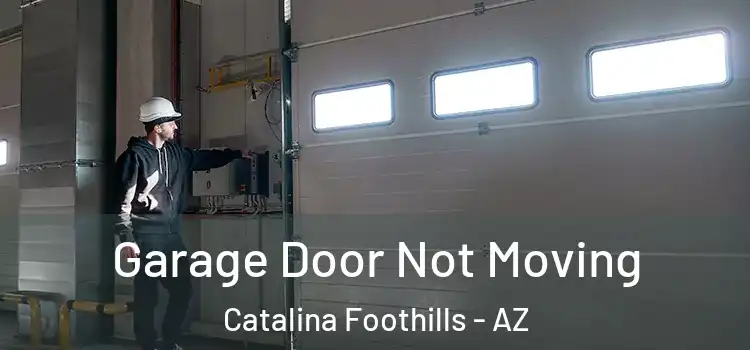  Garage Door Not Moving Catalina Foothills - AZ