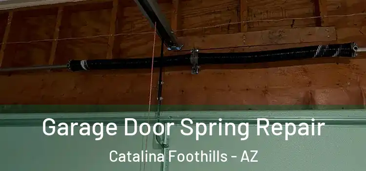  Garage Door Spring Repair Catalina Foothills - AZ