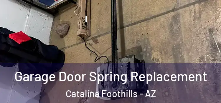  Garage Door Spring Replacement Catalina Foothills - AZ