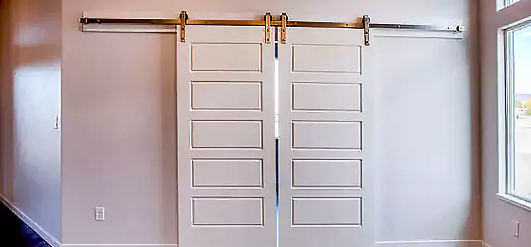 Glass Barn Door with Installation Hardware Kit Catalina Foothills