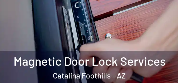 Magnetic Door Lock Services Catalina Foothills - AZ