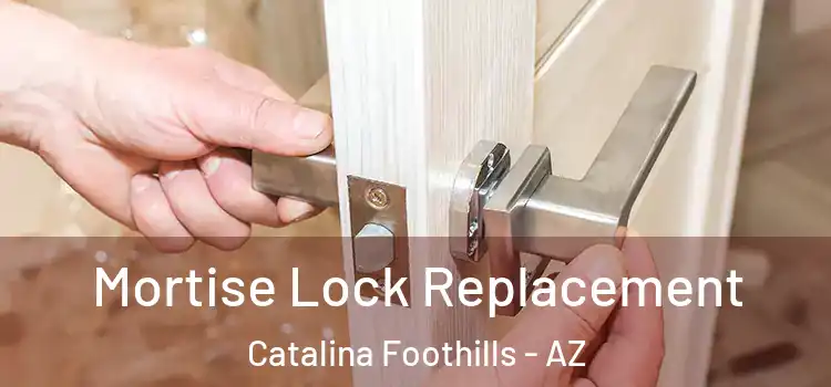 Mortise Lock Replacement Catalina Foothills - AZ