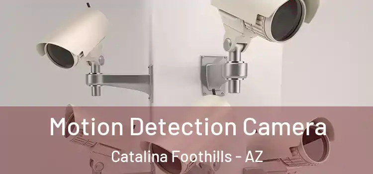  Motion Detection Camera Catalina Foothills - AZ